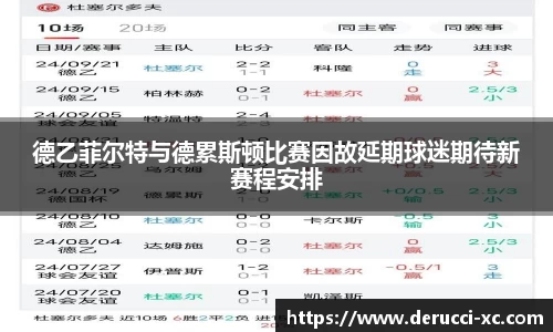 德乙菲尔特与德累斯顿比赛因故延期球迷期待新赛程安排